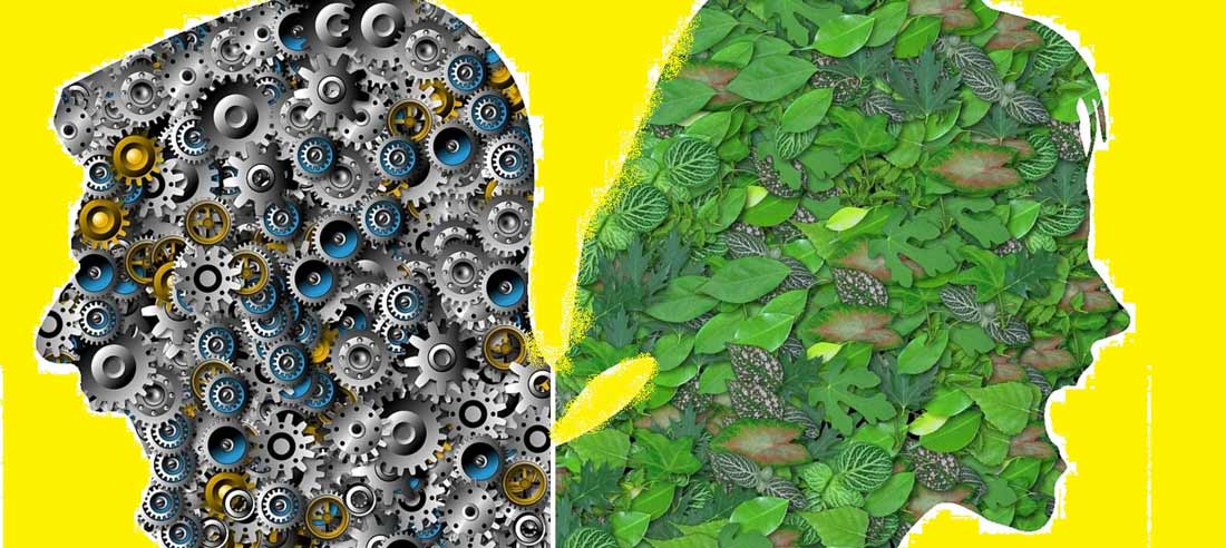 ecologia della comunicazione